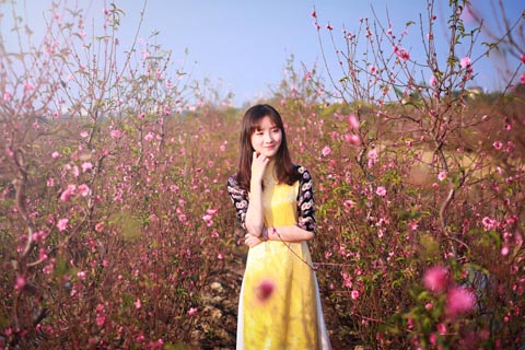 卒業生タロットリーディング