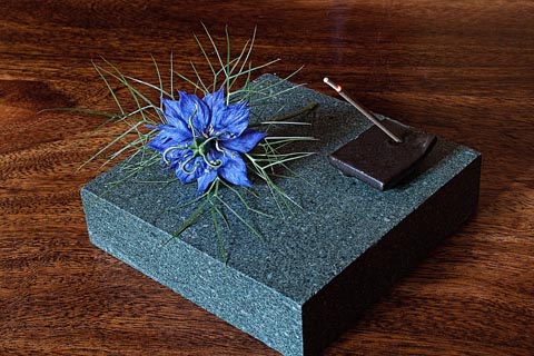 心の色診断の占い結果一覧