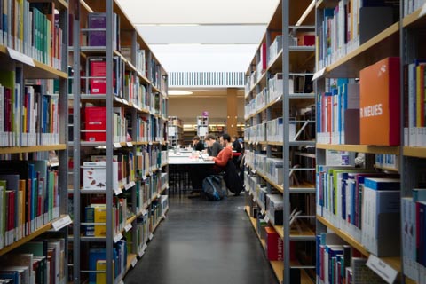 「大アルカナ22枚」の基本背景