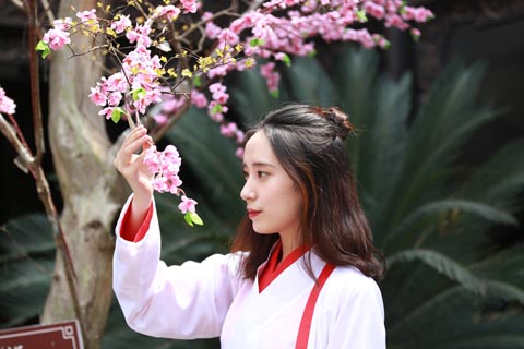 無料会員登録について