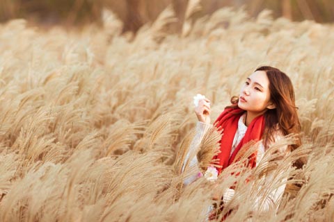 よくある質問と答えについて